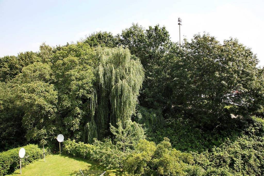 City Apartments Cologne - Apartment 2 Екстериор снимка